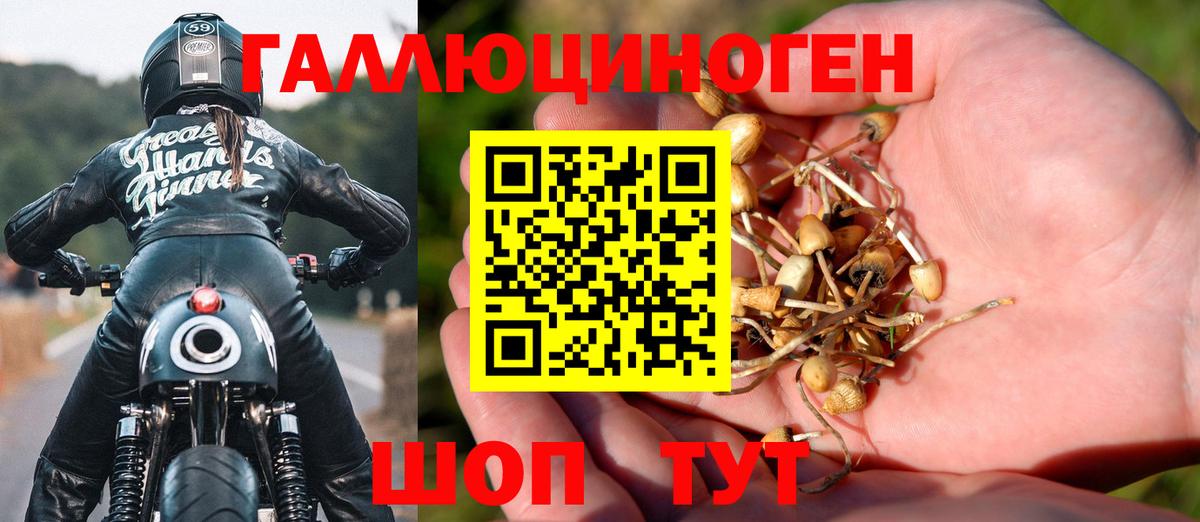 Галлюциногенные грибы MAGIC MUSHROOMS  Вход с VPN  Химки 