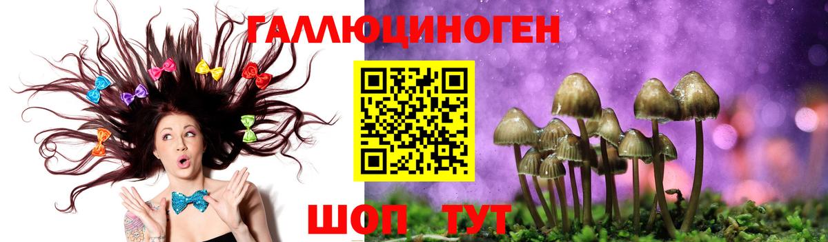 Галлюциногенные грибы Cubensis Химки